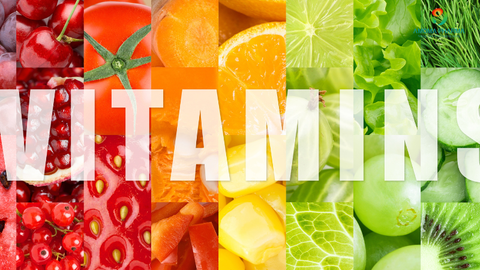 Vitamin tổng hợp hay từng loại riêng? Lý do nhiều người chọn Infovit cho tiện lợi và cân bằng