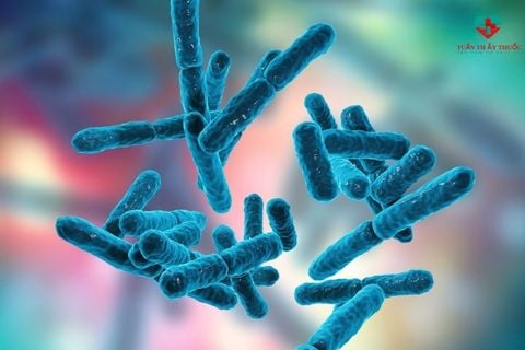 Cốm vi sinh nào tốt nhất cho bé - hướng dẫn lựa chọn từ bác sĩ