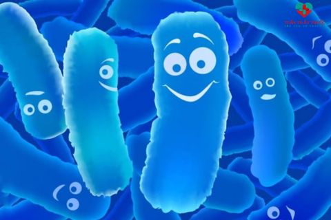 Lợi khuẩn probiotics là gì? Có tác dụng như thế nào đối với sức khỏe của bé ý kiến từ chuyên gia tiêu hóa