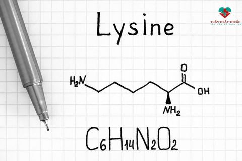 Công dụng của Lysine là gì? Lysine có trong thực phẩm nào?