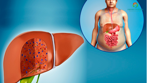 Men Gan Tăng Uống Gì? Gợi Ý Chế Độ Nước + Infonic Giúp Gan Lọc Độc Tố Tốt Hơn