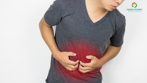 Uống Gì Để Hạ Men Gan? Các Loại Nước & Infonic Giúp Gan Nhẹ Khỏe