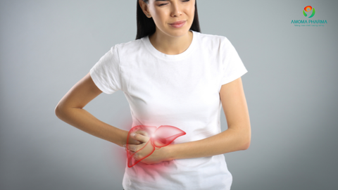 Dấu Hiệu Men Gan Cao Thường Gặp – Đừng Chủ Quan! Dùng Infonic Sớm Để Cải Thiện