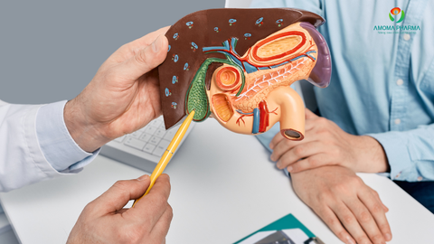 Men Gan Cao Gấp 4 Lần – Có Phục Hồi Được Không? Kết Hợp Infonic Thế Nào?