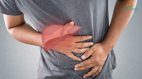 Tăng Men Gan Là Dấu Hiệu Gì? Cảnh Báo Sớm & Cách Xử Trí Bằng Infonic