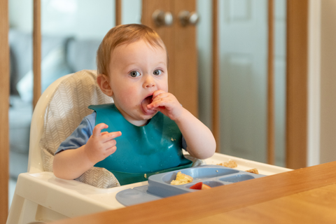 Những “món ăn bốc” cho trẻ chưa mọc răng, tại sao không?
