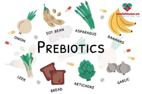 Prebiotic là gì? Vai trò Prebiotic đối với hệ tiêu hóa của trẻ