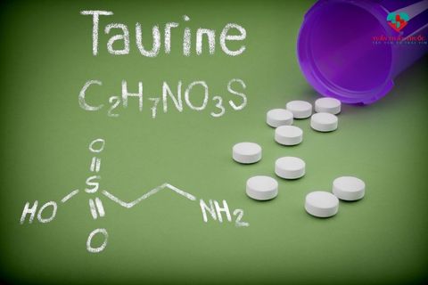Taurine có tác dụng gì? Taurine có trong thực phẩm nào? Cách dùng