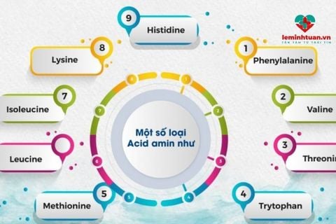 Thực hư sản phẩm kích thích ăn ngon cho bé Amanoenzyme