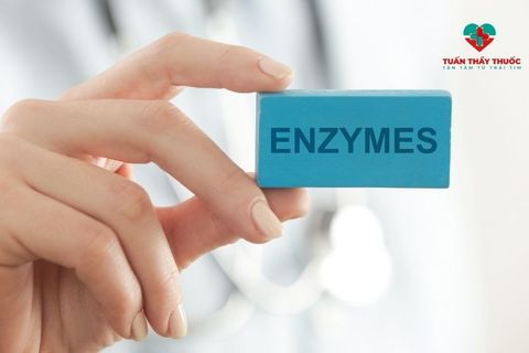 Thuốc enzym có tác dụng gì với trẻ? Thuốc enzym của Nhật có tốt không?