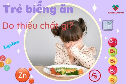 Trẻ biếng ăn thiếu chất gì và Trẻ biếng ăn cần bổ sung chất gì? Giải pháp từ cốm tiêu hóa cho bé