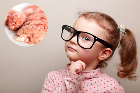 Trẻ ăn nhiều óc lợn giúp thông minh? Quan niệm ăn gì bổ nấy sai lầm