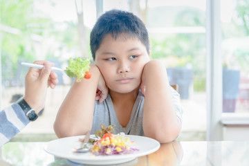 Trẻ biếng ăn chậm tăng cân, trẻ biếng ăn phải làm sao? Tiết lộ bí mật từ chuyên gia