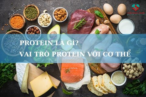 Protein là gì? Vai trò của protein với cơ thể và sức khỏe của chúng ta
