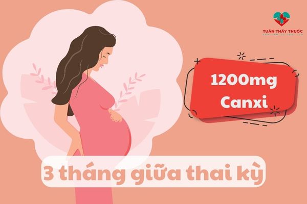Bà bầu cần được bổ sung bao nhiêu canxi mỗi ngày: 1200mg canxi trong 3 tháng giữa thai kỳ