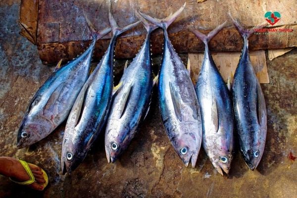 Bà bầu kiêng ăn gì: Hạn chế ăn cá ngừ