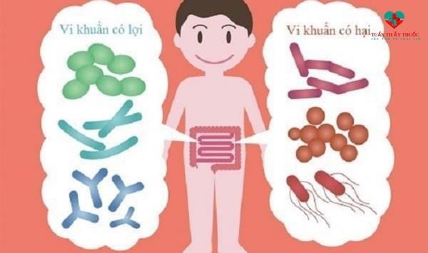Vai trò của probiotic cho trẻ