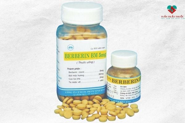 Berberin điều trị nhiễm khuẩn đường ruột