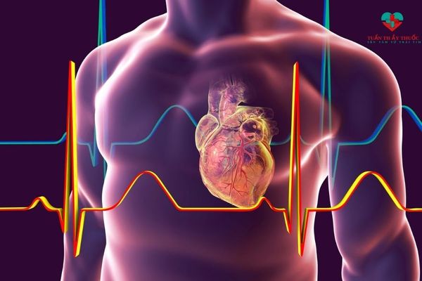 Beta glucan có chức năng tăng cường sức khỏe tim mạch
