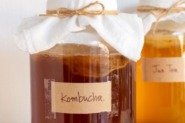 Bổ sung lợi khuẩn cho người lớn từ Kombucha