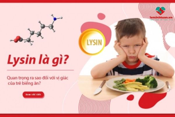 Lysine có vai trò như thế nào đối với sự phát triển của trẻ
