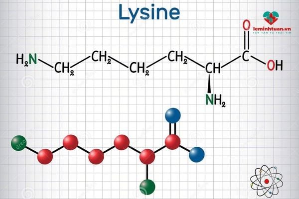Bổ sung lysine cho trẻ có tác dụng gì?