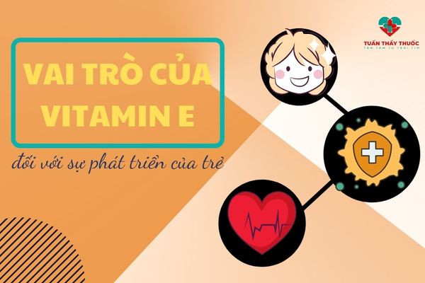 Bổ sung vitamin cho trẻ 7 tuổi: Bổ sung vitamin e cho trẻ
