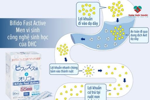 DHC Bifido Fast Active bổ sung hàng tỷ lợi khuẩn cho đường ruột