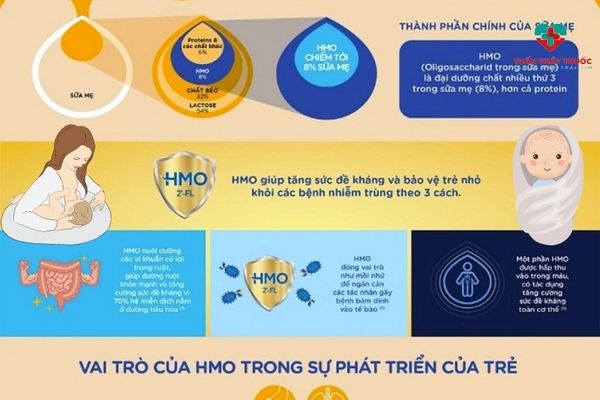 Dinh dưỡng giúp tăng chất lượng sữa mẹ