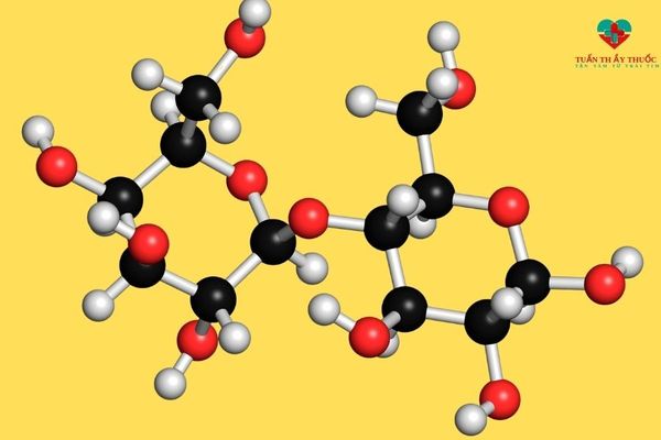 Enzyme lactase là gì?