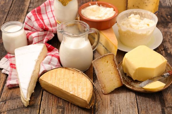 Không dung nạp Lactose có uống được sữa không