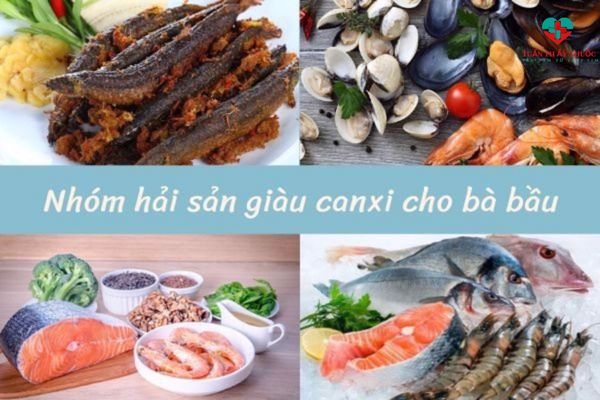 Nhóm hải sản thức ăn giàu canxi cho bà bầu