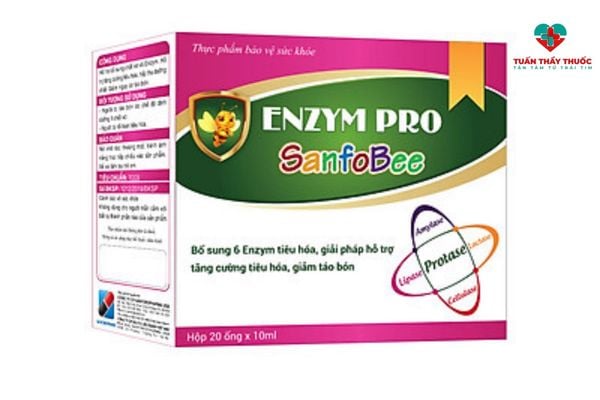 Men tiêu hóa cho trẻ Enzym Pro SanfoBee