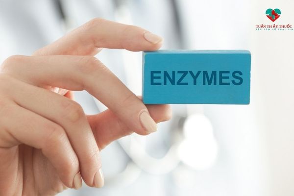 Enzyme tiêu hóa là gì?