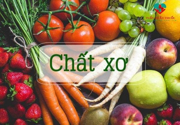 Chất xơ là gì?