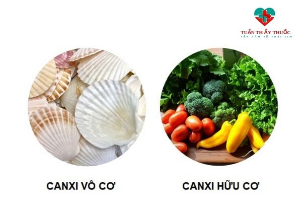 Canxi hữu cơ là gì?