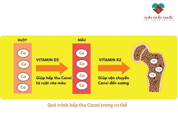 Khi nào thì nên cho trẻ sơ sinh uống vitamin D