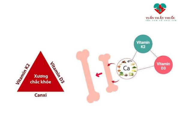 Thuốc canxi hữu cơ Unical Kids Calcium có thành phần như thế nào