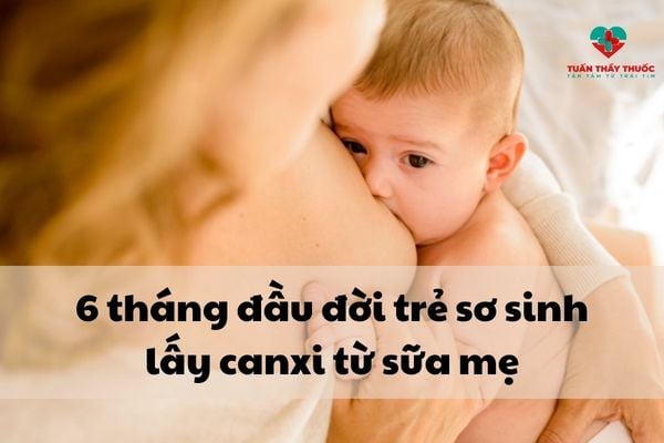 Nên cho trẻ 6 tháng tuổi bú mẹ hoàn toàn