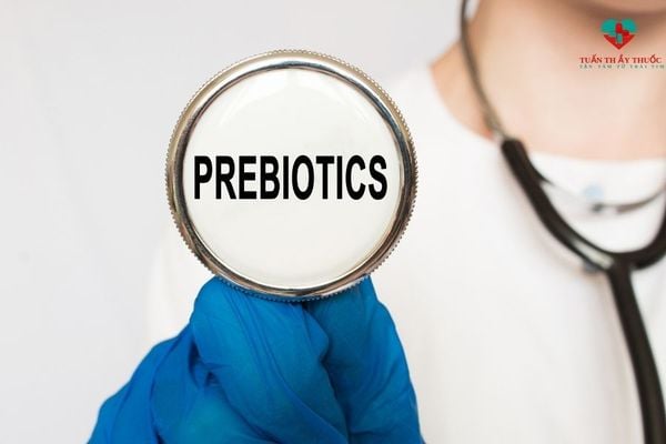 Prebiotics là gì? Prebiotics gồm những nhóm nào?
