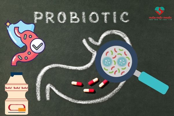Ptobiotic là thuốc gì: Thuốc giúp hệ tiêu hoá khoẻ mạnh