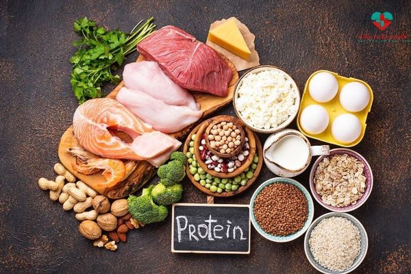 Nhóm chất đạm (protein) tham gia cấu trúc cơ thể