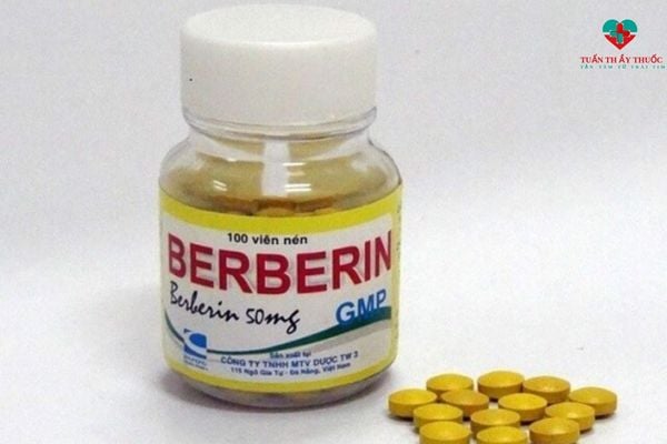 Thuốc cầm tiêu chảy nhanh nhất berberin