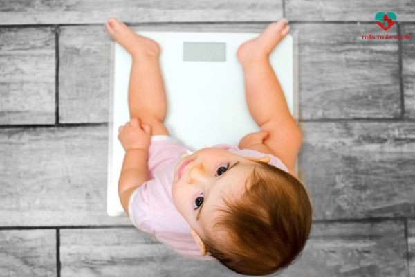 Rối loạn tiêu hóa khiến bé kém hấp thu biểu hiện là chậm tăng cân