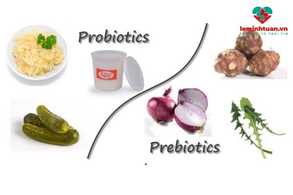 Phân biệt giữa prebiotic và probiotic