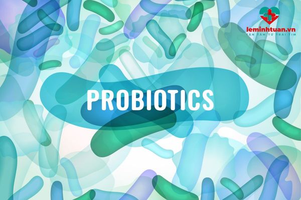 Prebiotic giúp tái tạo hệ vi khuẩn đường tiêu hóa