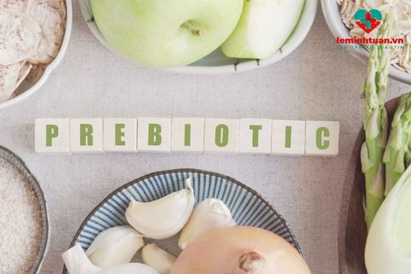 Hệ tiêu hóa cần prebiotic để làm gì?