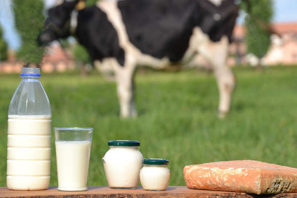 sữa động vật và sữa thực vật loại nào tốt hơn