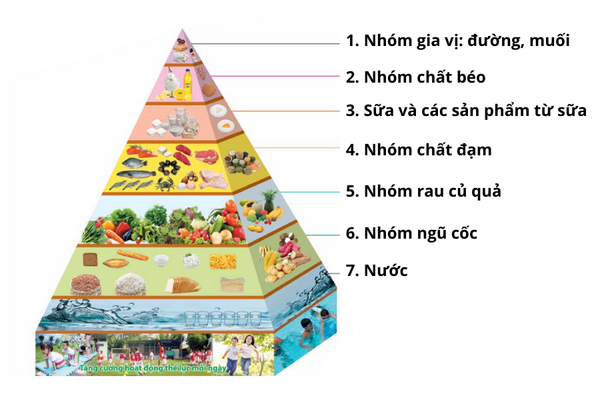 tháp dinh dưỡng cho trẻ