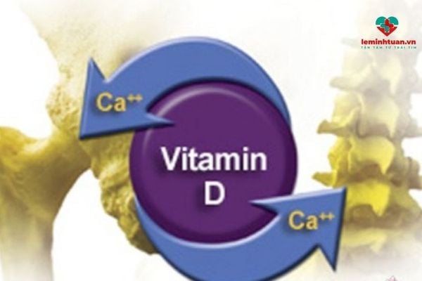 Bổ sung vitamin D cho người lớn có vai trò hỗ trợ hấp thu canxi chắc khỏe xương